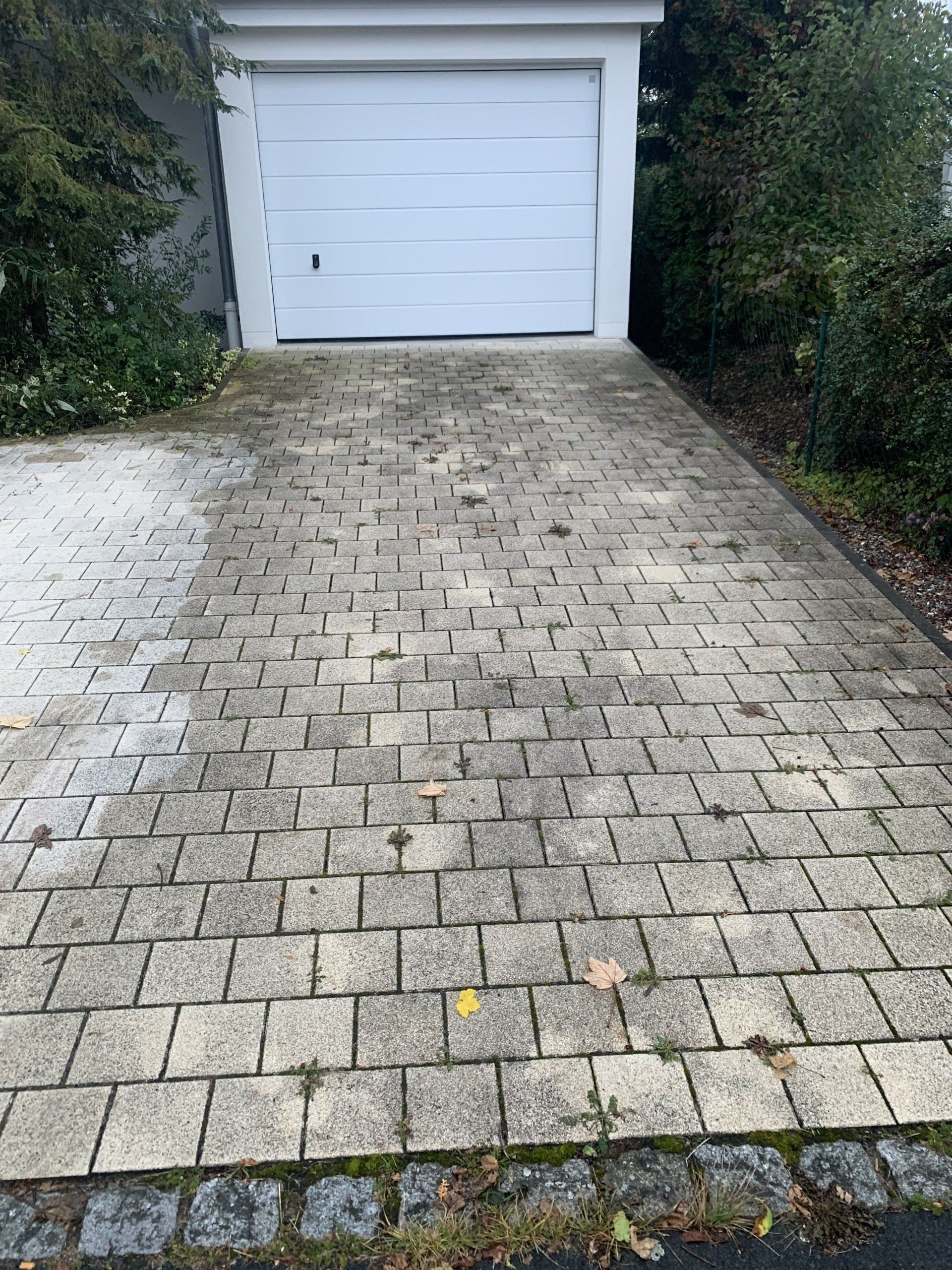 Pflasterfläche reinigen