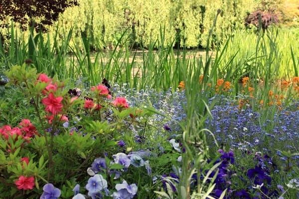 Driver service to the Claude Monet’s house and gardens