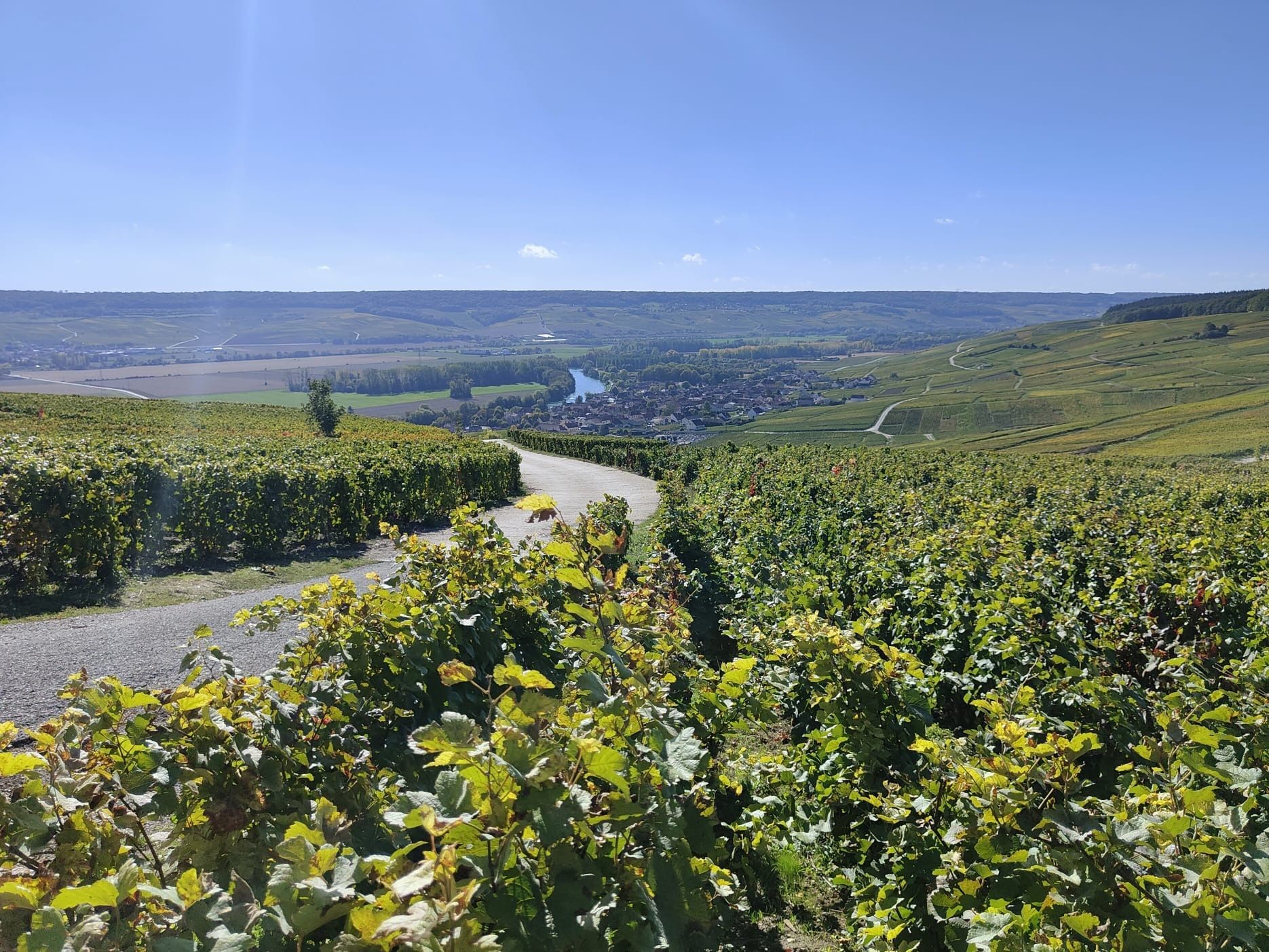 Private driver to Champagne, Reims, Épernay, Hautvillers