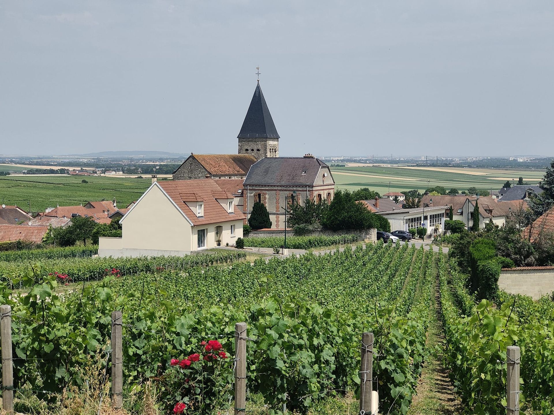 Church and vineyards in Sacy Champagne region