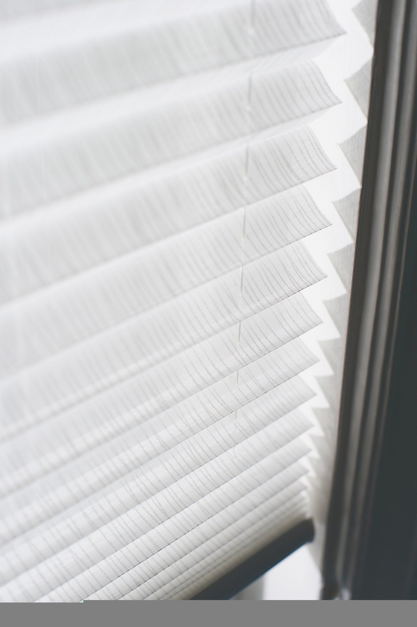 Plissee, Duette, München, Westermeier, Luxaflex