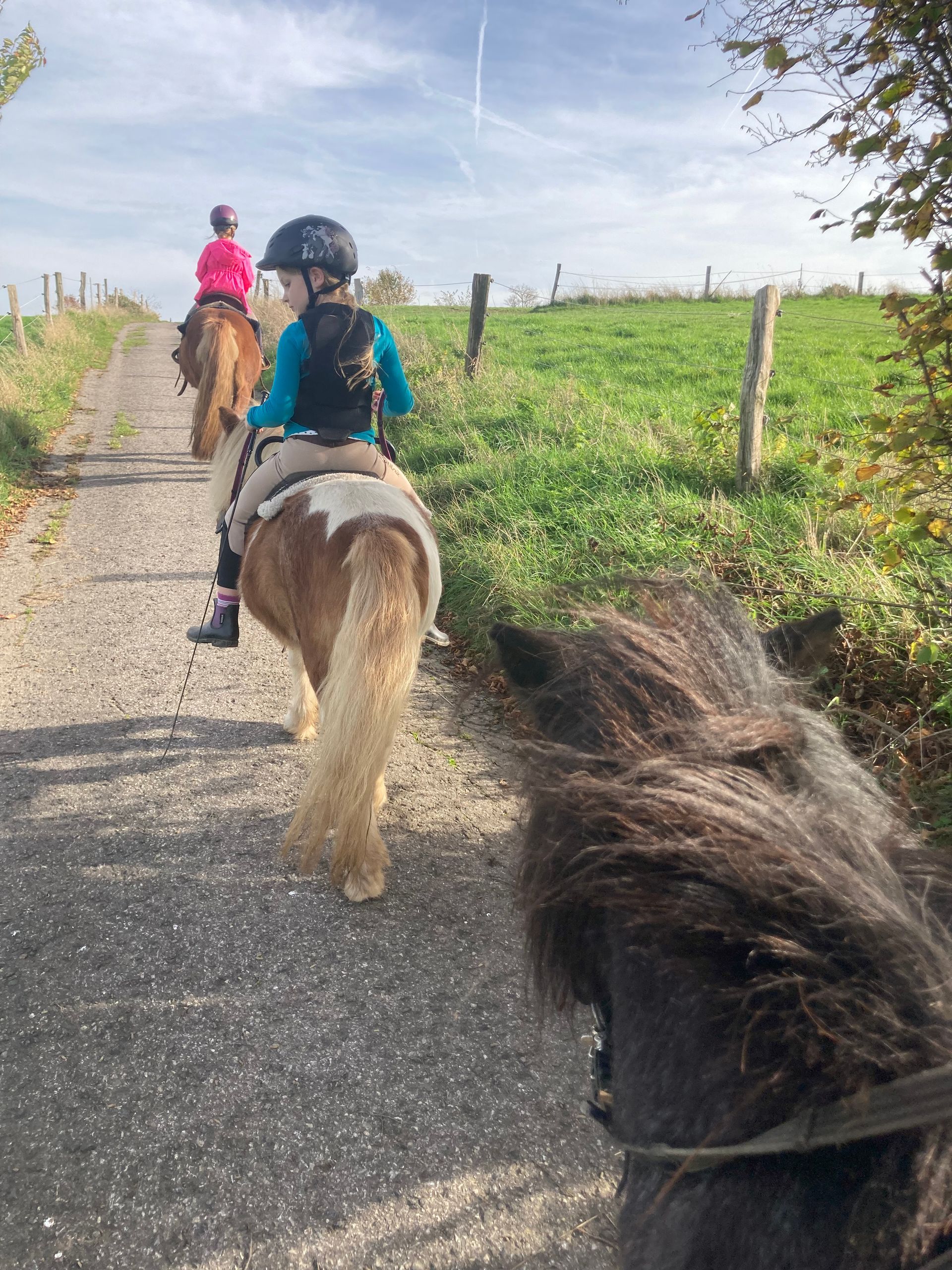 Kinder auf Ponys reiten einen Straße entlang