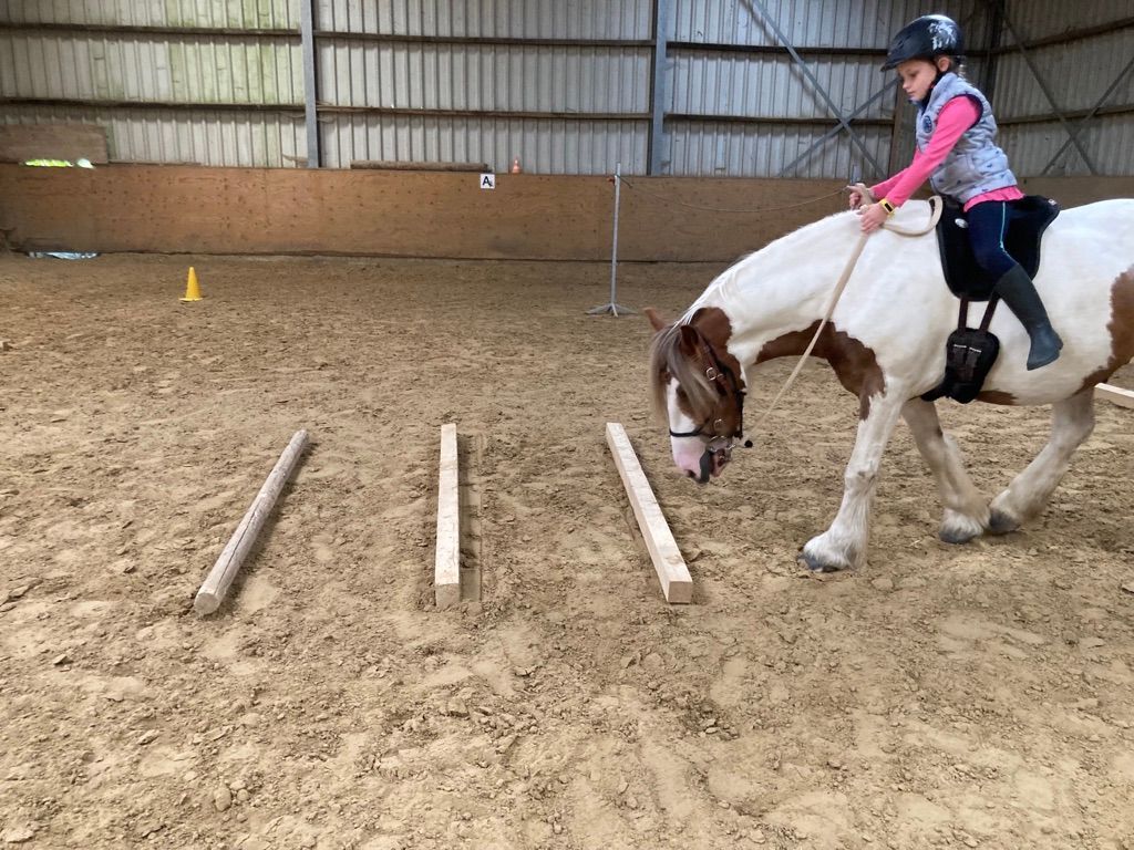 Mädchen auf Pony reitet über Stangen