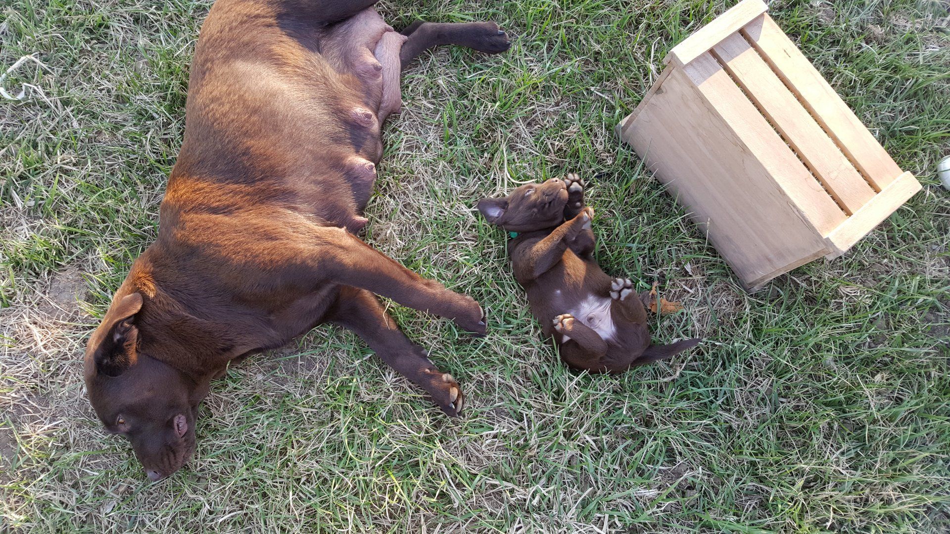 River and baby