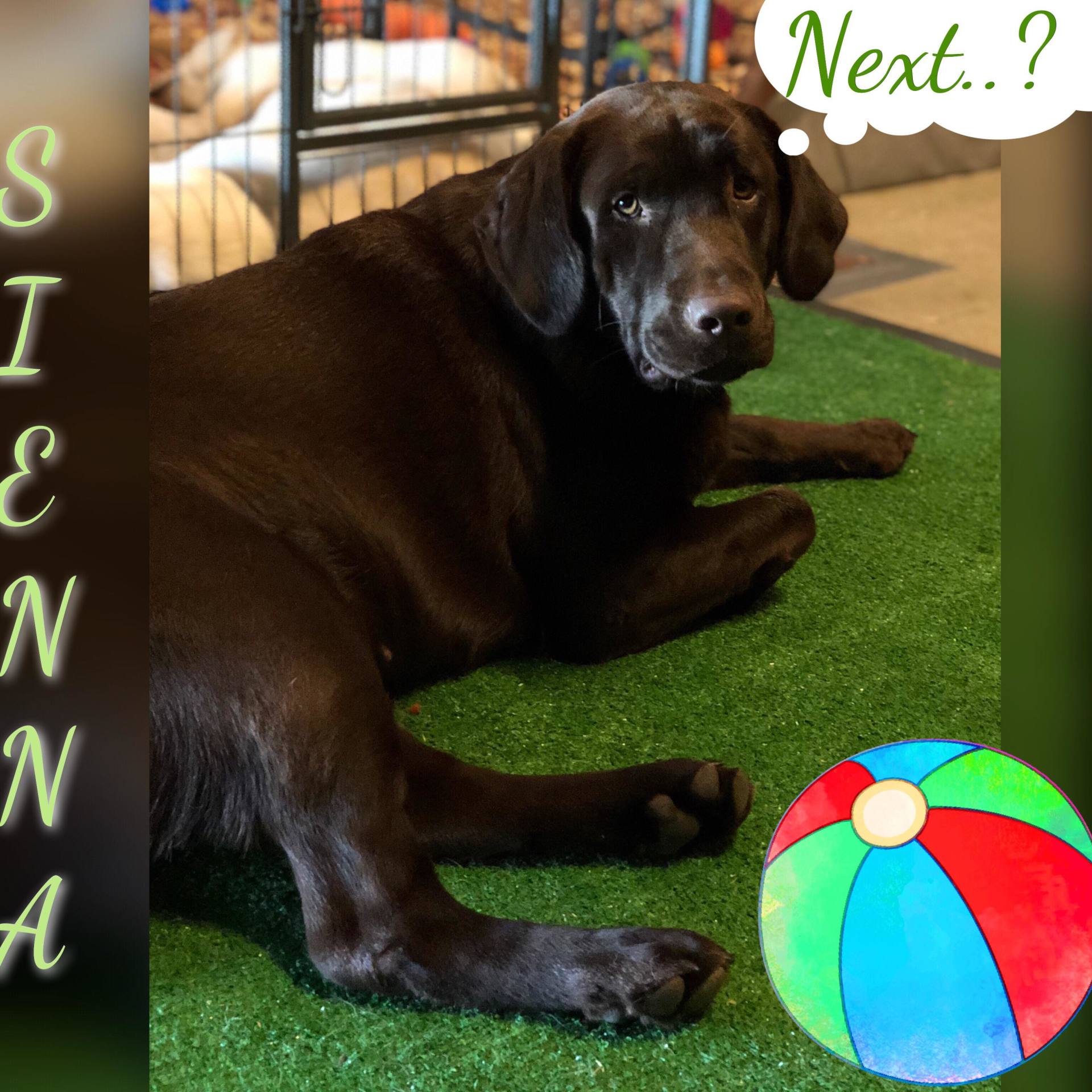 Sienna(RiverXBrooks)