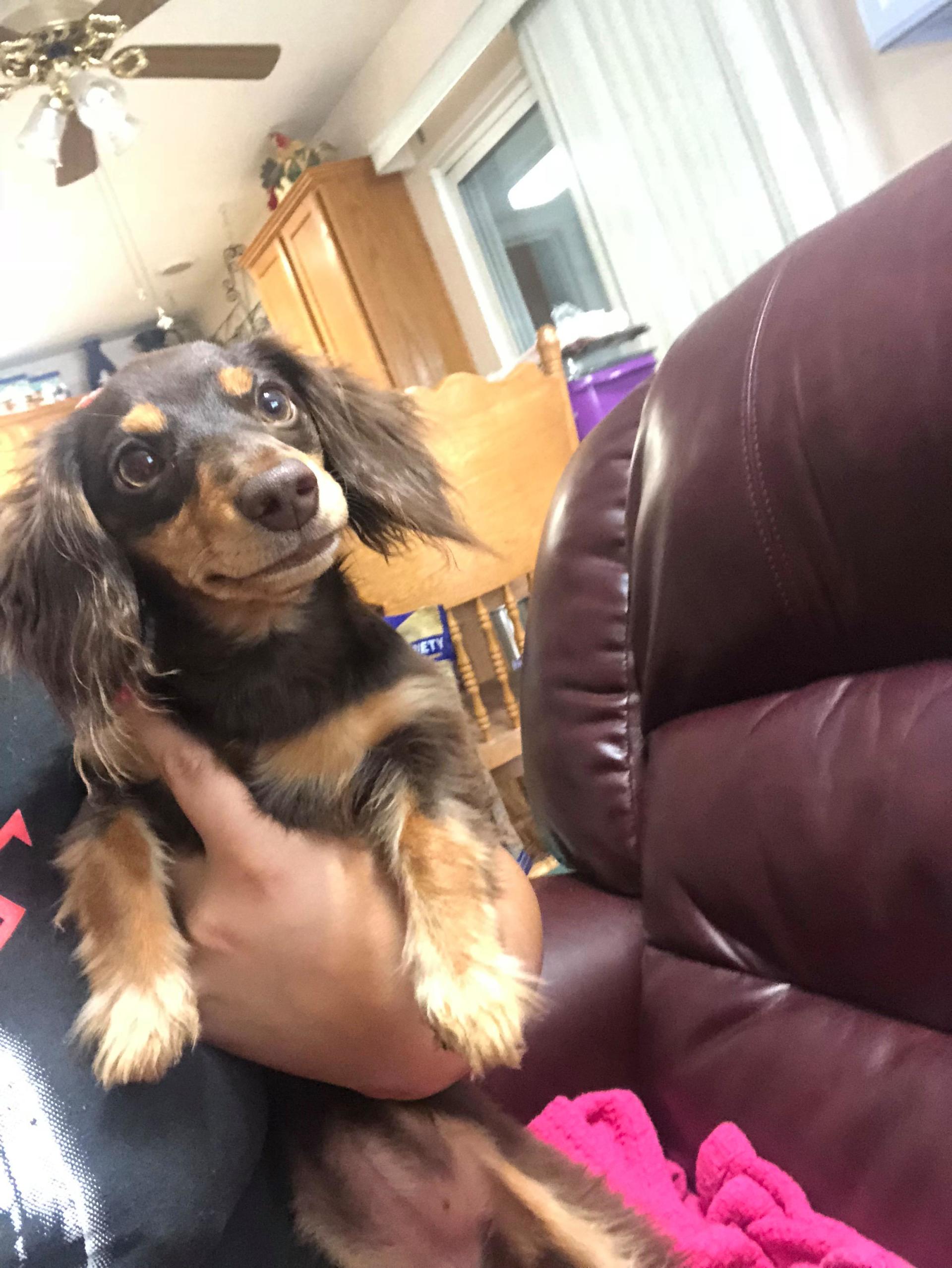 Ginger/Hope(BakerXPeanut)