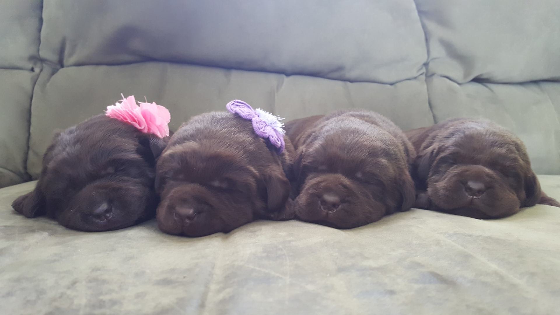 Rigley, Reese, Rawlings, Ridge