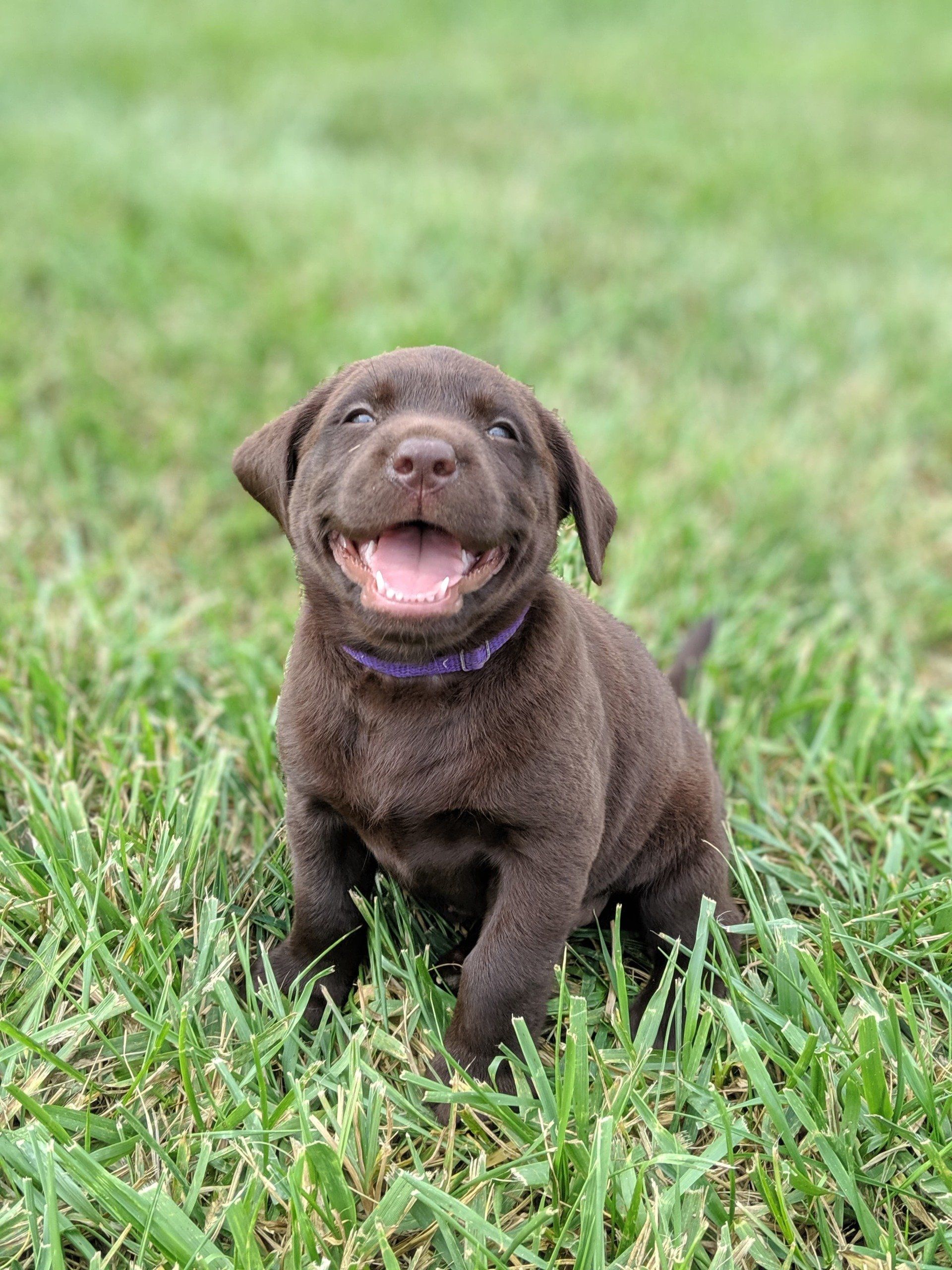 Berry (RiverXBrooks)