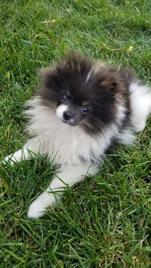 Jem/Morgan (Milly X Jaxson)