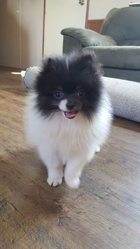 Morgan/Jem (Milly X Jaxson)