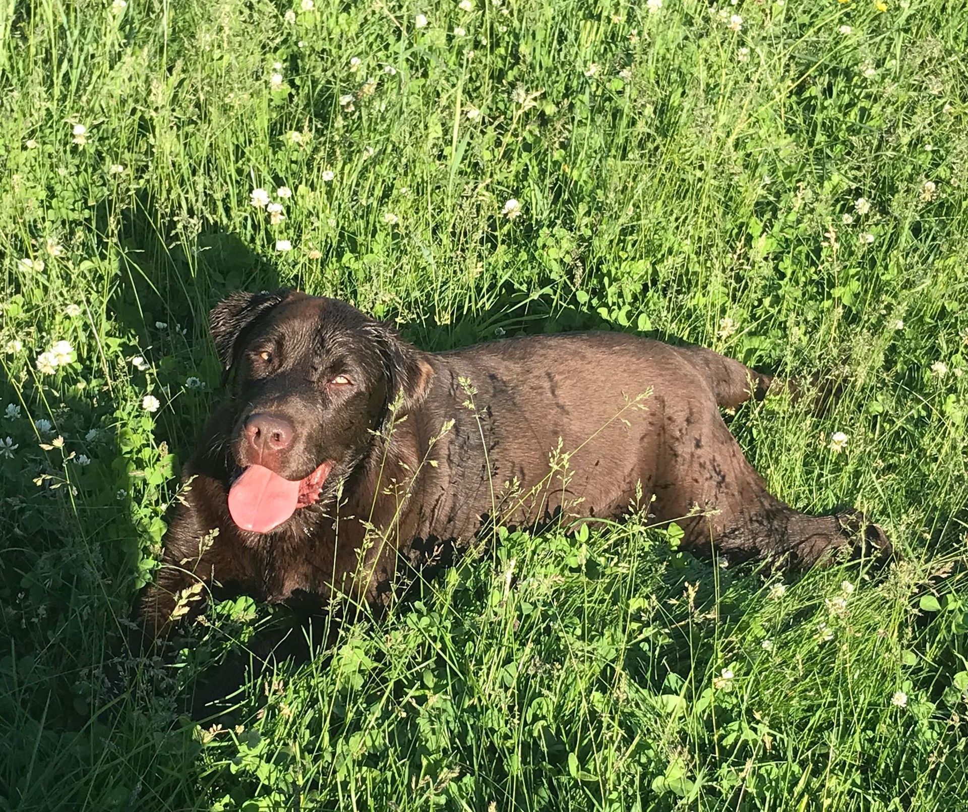 Valor (River X Brooks)