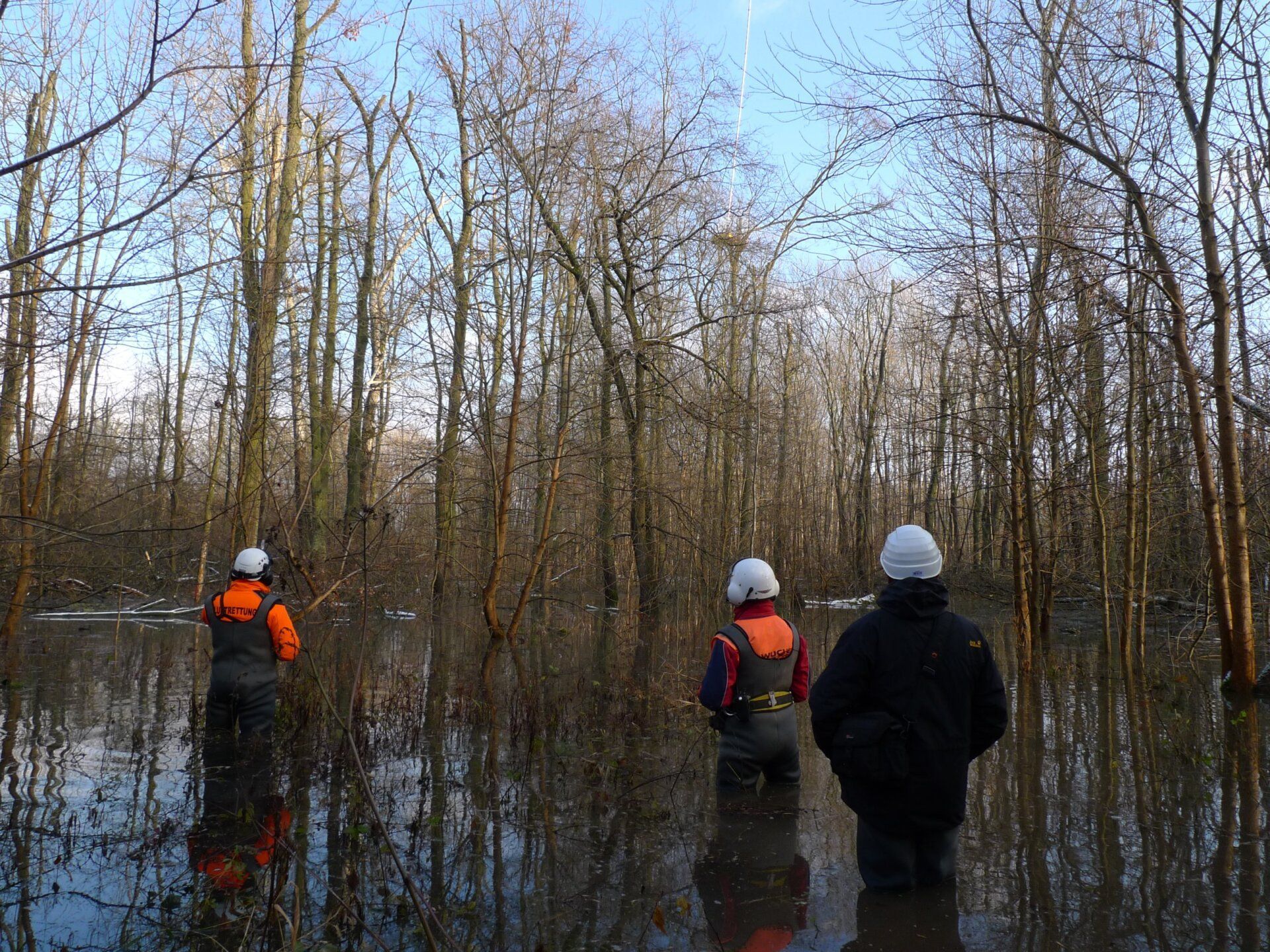 Hubschrauber Rodung im Auwald (Foto: Kölner Büro für Faunistik)