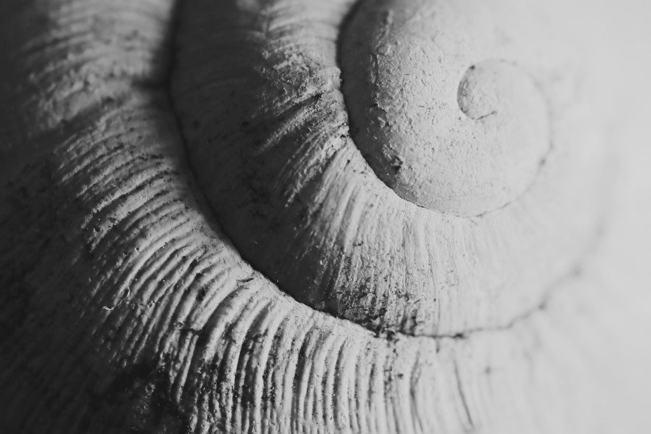 Ganderkesee: Authentisches Reik nach Usui - eine uralte Heilkunst, die Körper, Geist und Seele harmonisiert.