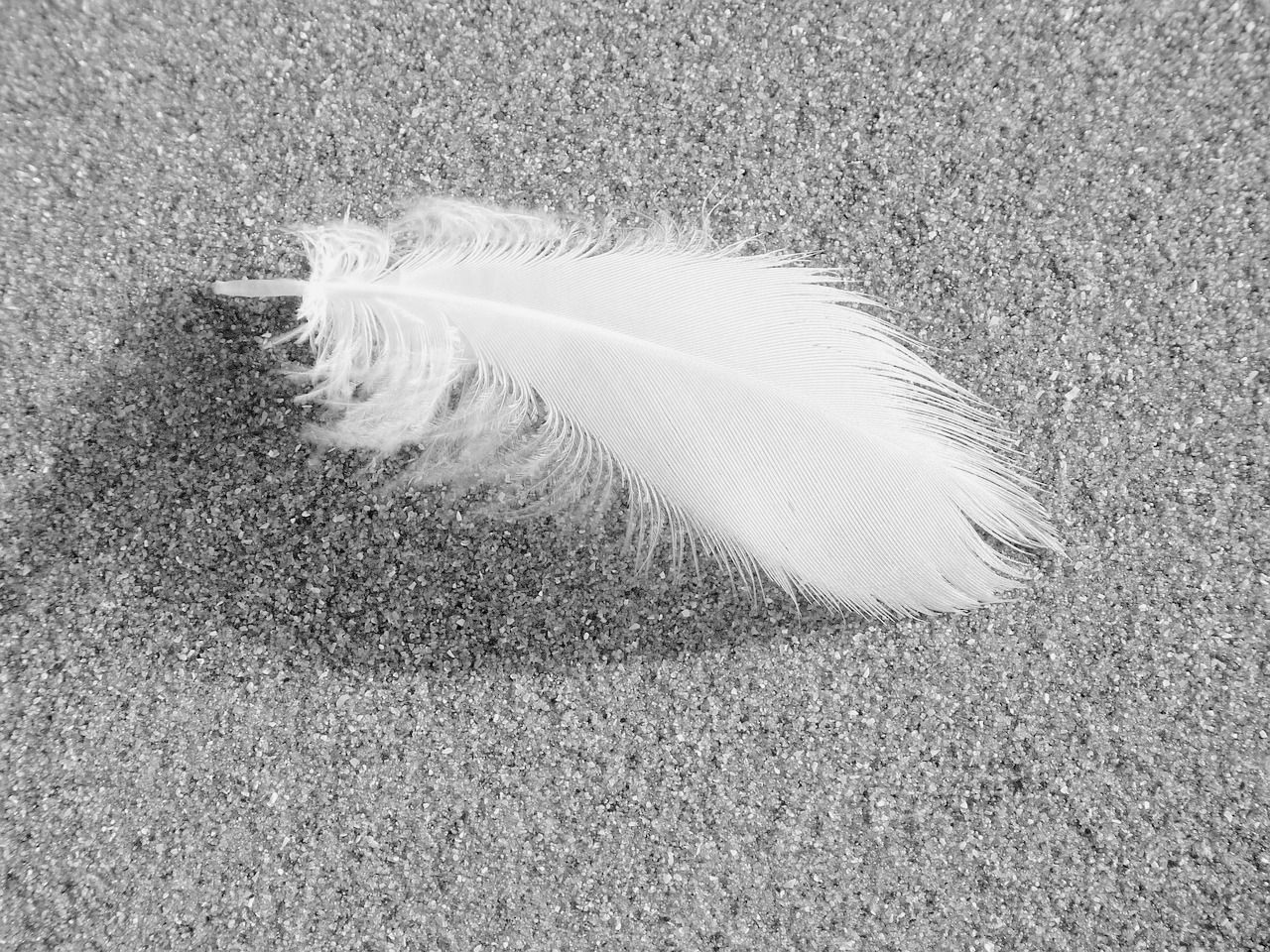 Finde Deine Technik zur Entspannung. autogenes Training, Progressive Muskelentspannung, Pranayama, Meditation, Yoga Nidra - Du hast die Wahl - Entspannungstherapie in Ganderkesee.