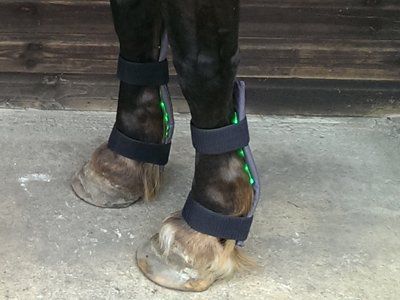 Grünlicht-Anwendung