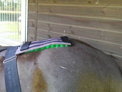 Grünlicht-Anwendung