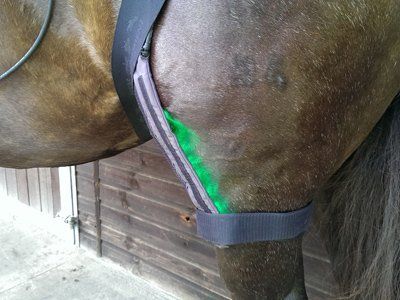 Grünlicht-Anwendung