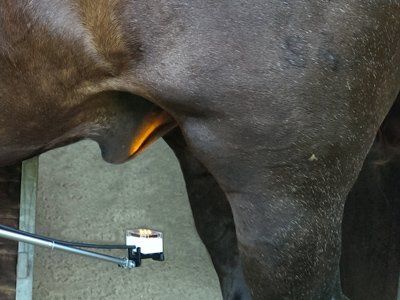 Orangelicht-Anwendung