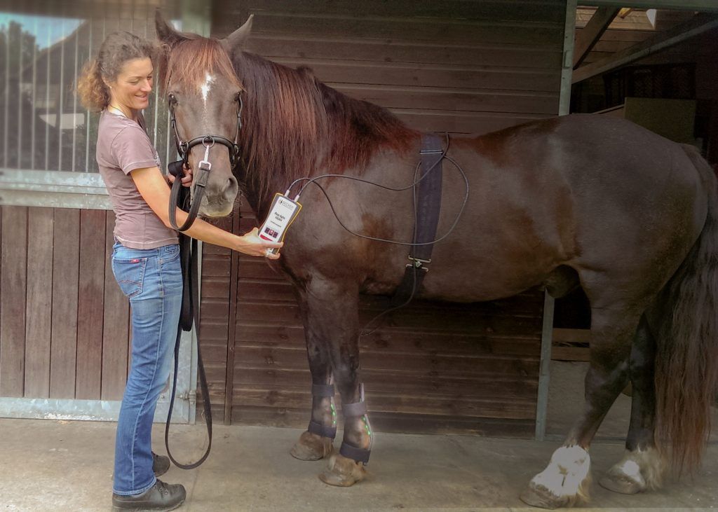 Nicole während Farblicht-Therapie am Pferd