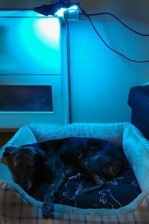 Lichtdusche blau