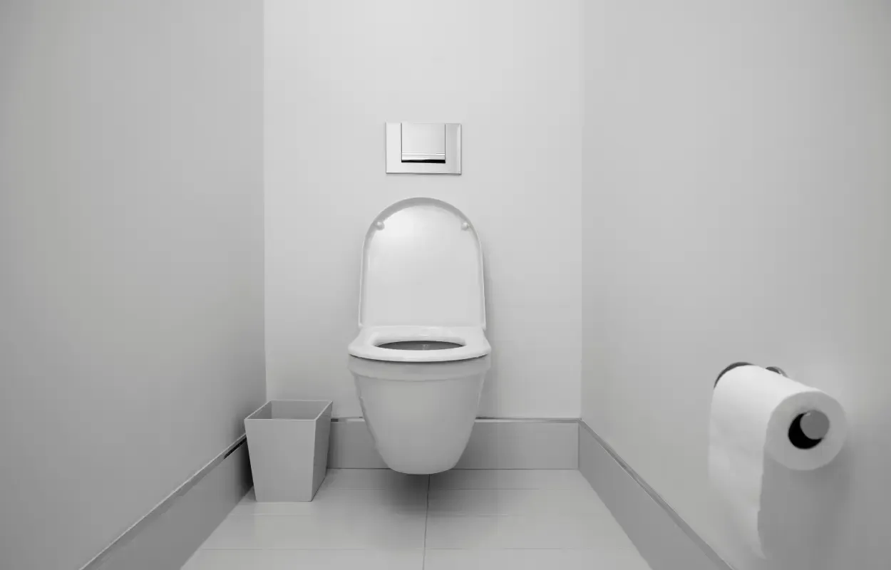 guia-comprar-inodoro-tarragona