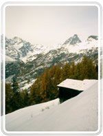 ANCIENNE BERGERIE CHALET CERVINIA