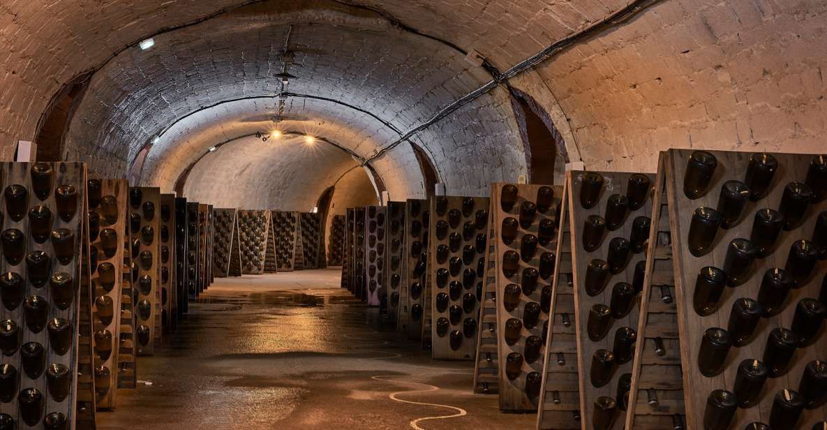 Champagne tasting cellar tour