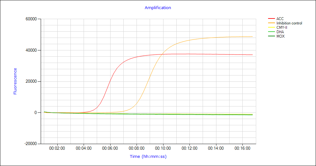 Amplifikation eazyplex® SuperBug AmpC Amplifikation eazyplex® SuperBug AmpC