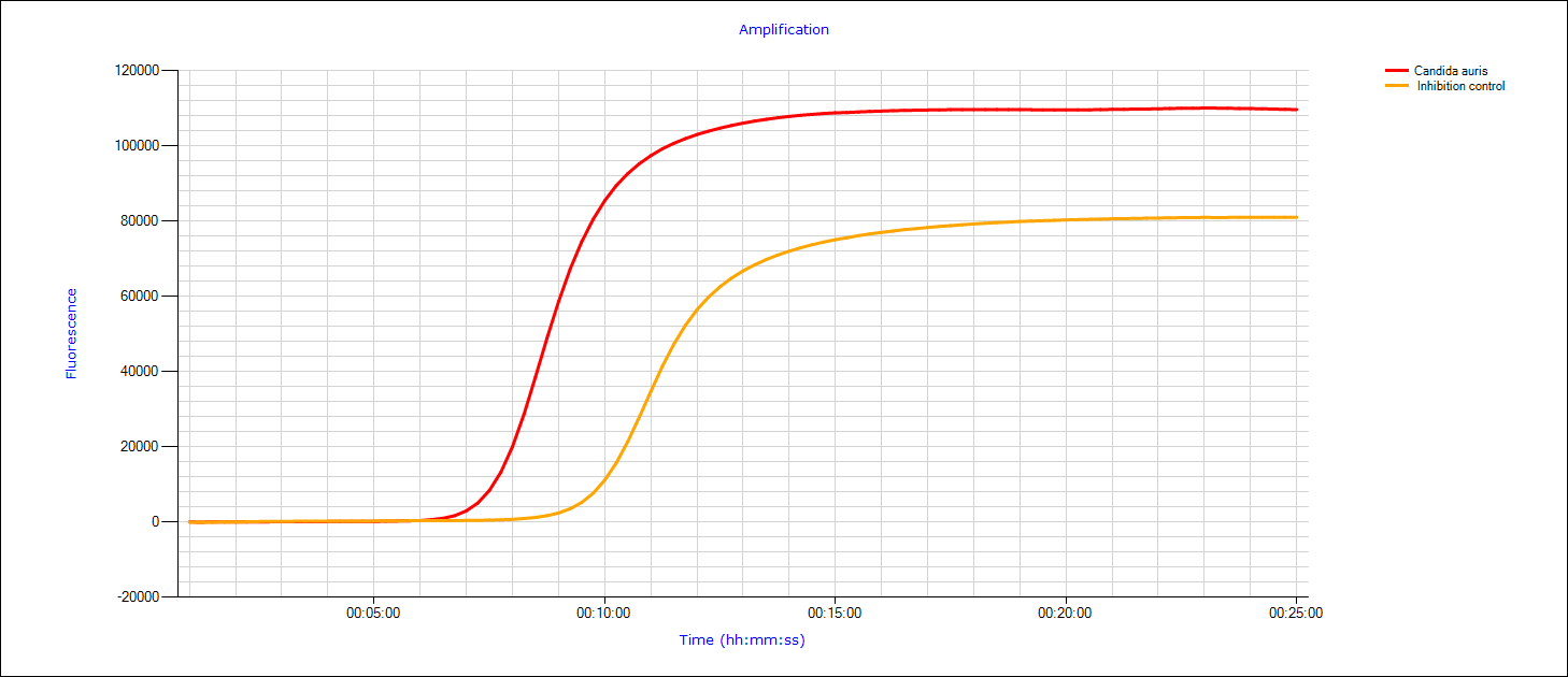 Candida auris Detektion
