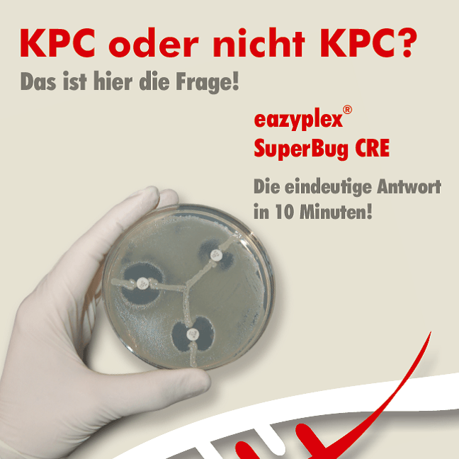 eazyplex SuperBug basic KPC oder nicht KPC? Das ist hier die Frage!