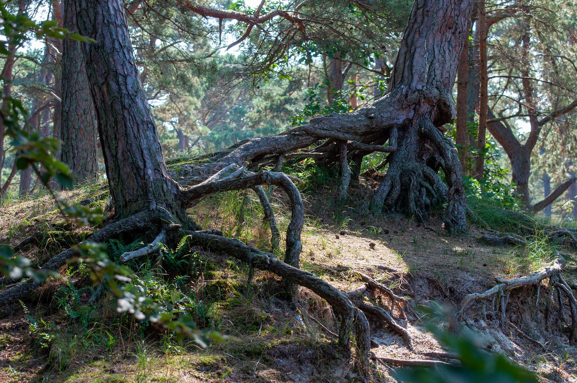 Verbindung mit dem Geist des Ortes