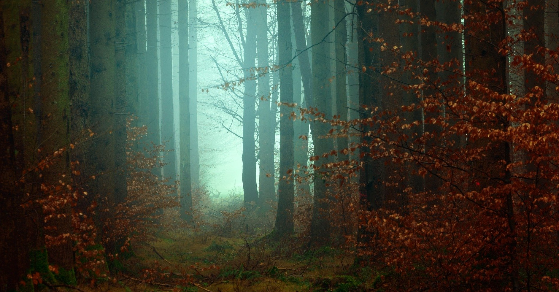 Blutmond - Energie des Wandes