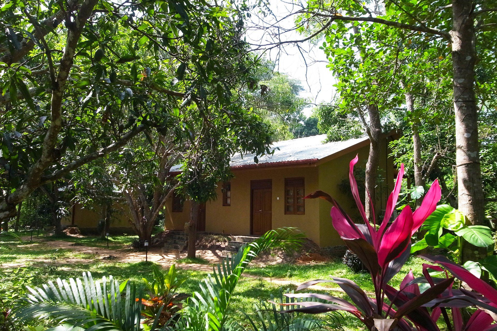 Lodges from our garden