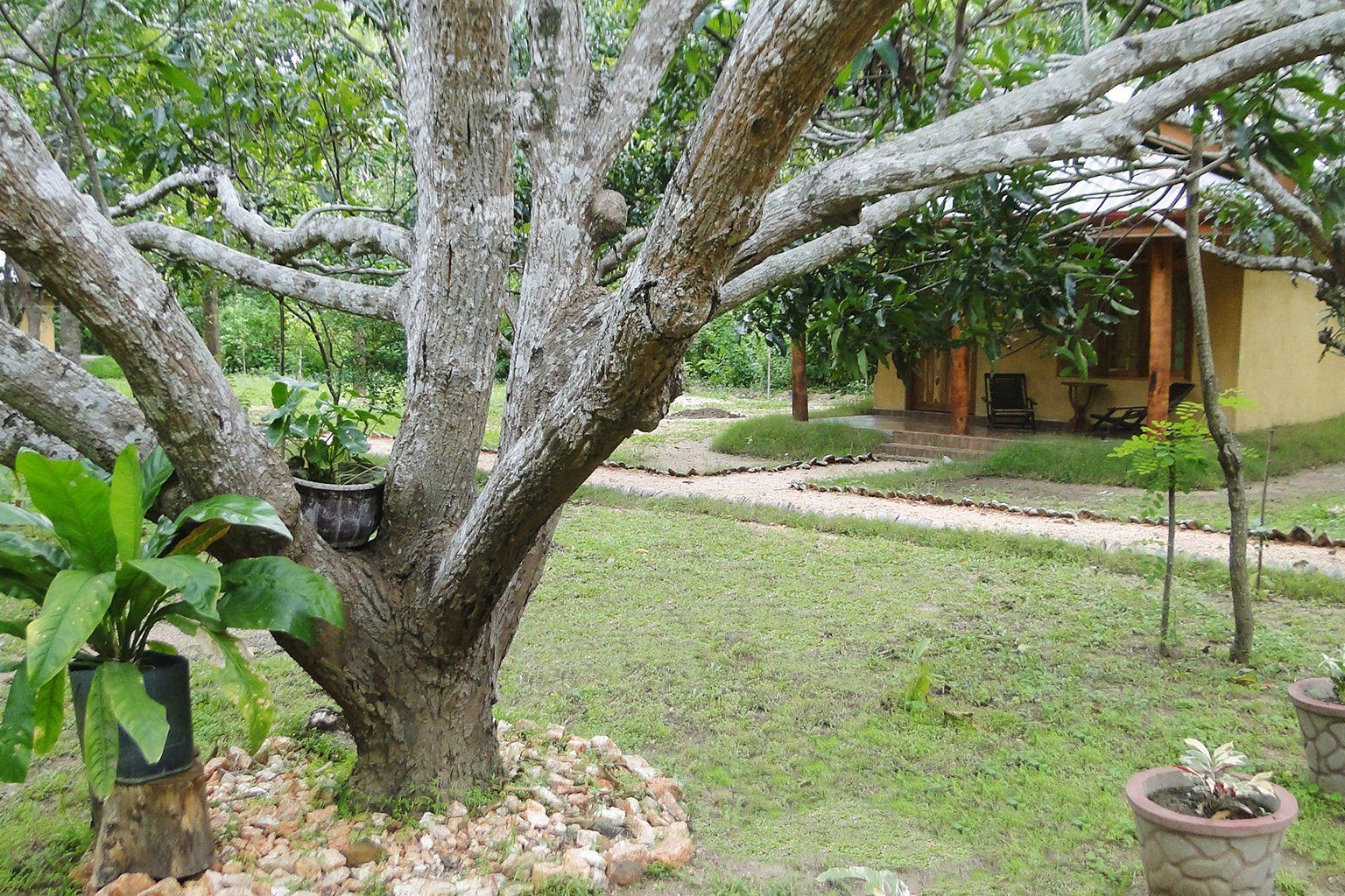 Bissa Villa Garden path
