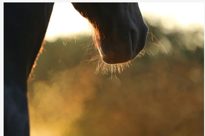 Darstellung Mikrosilber als Haufen und ran gezoomt in Molekülform