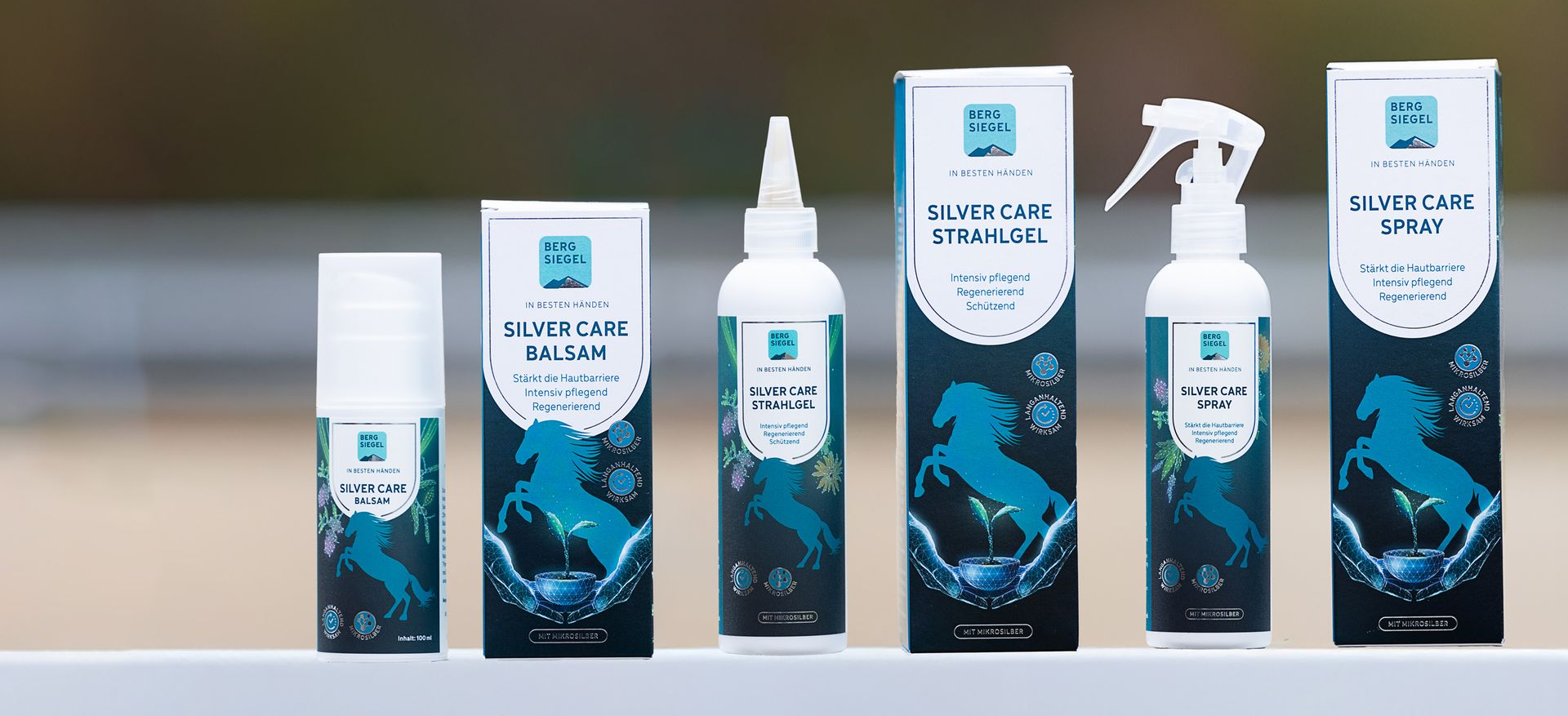 Darstellung SILVER CARE LINE auf einem Zaun