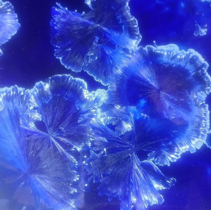 Galerie Ost - Fedor Matejak - Sbaiglio - Mancini Olivenöl - Kunstgemälde - KERAMIK - sommeratelier - repro - kunst