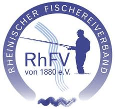 RhFV