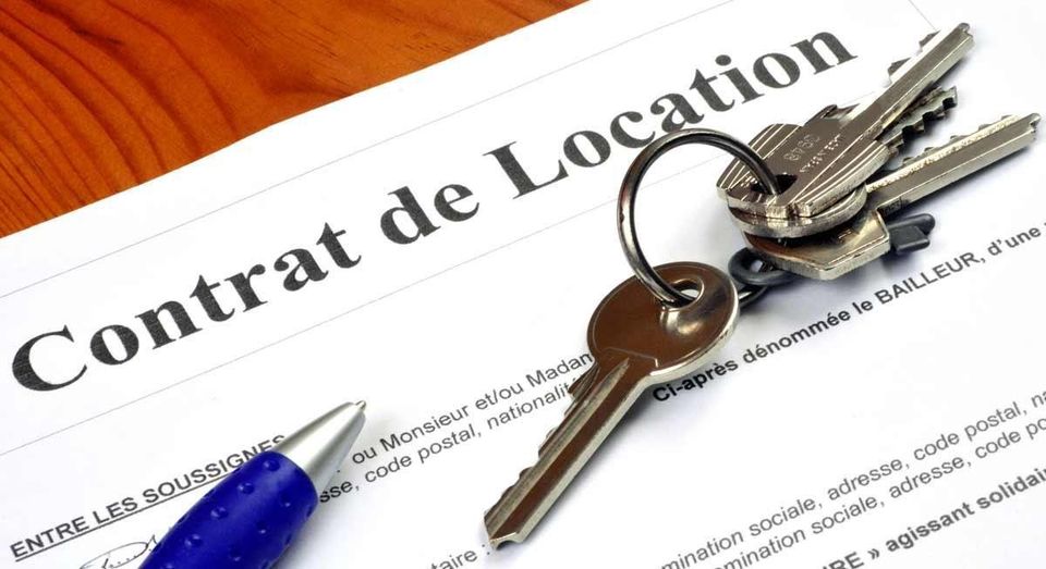 Colocation : bail unique ou contrats multiples ?