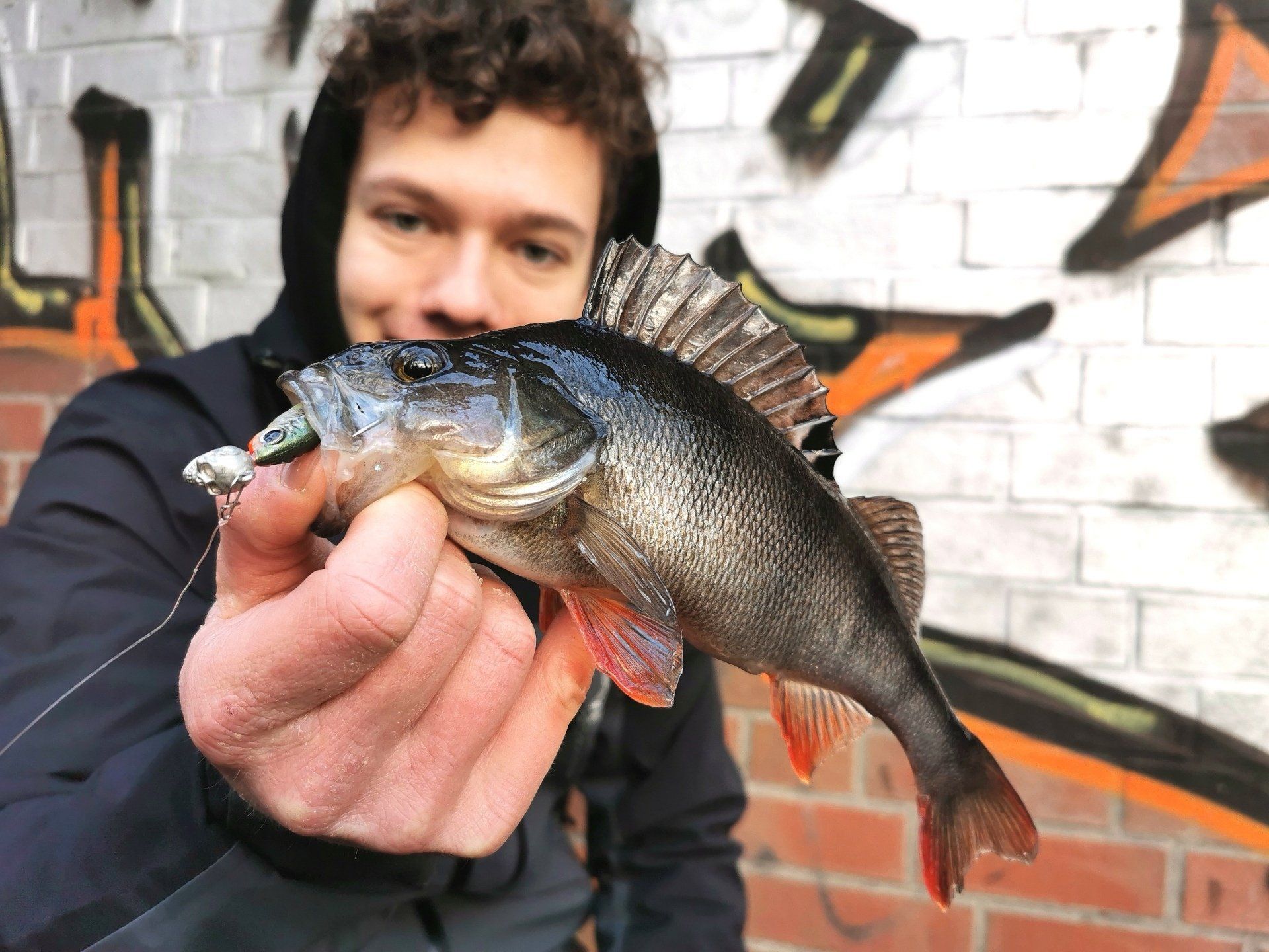 bleifreier Jig-Kopf fängt Barsch