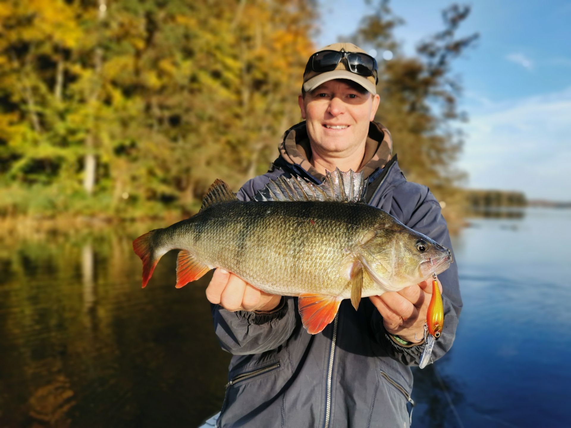 Barsch mit Crankbait