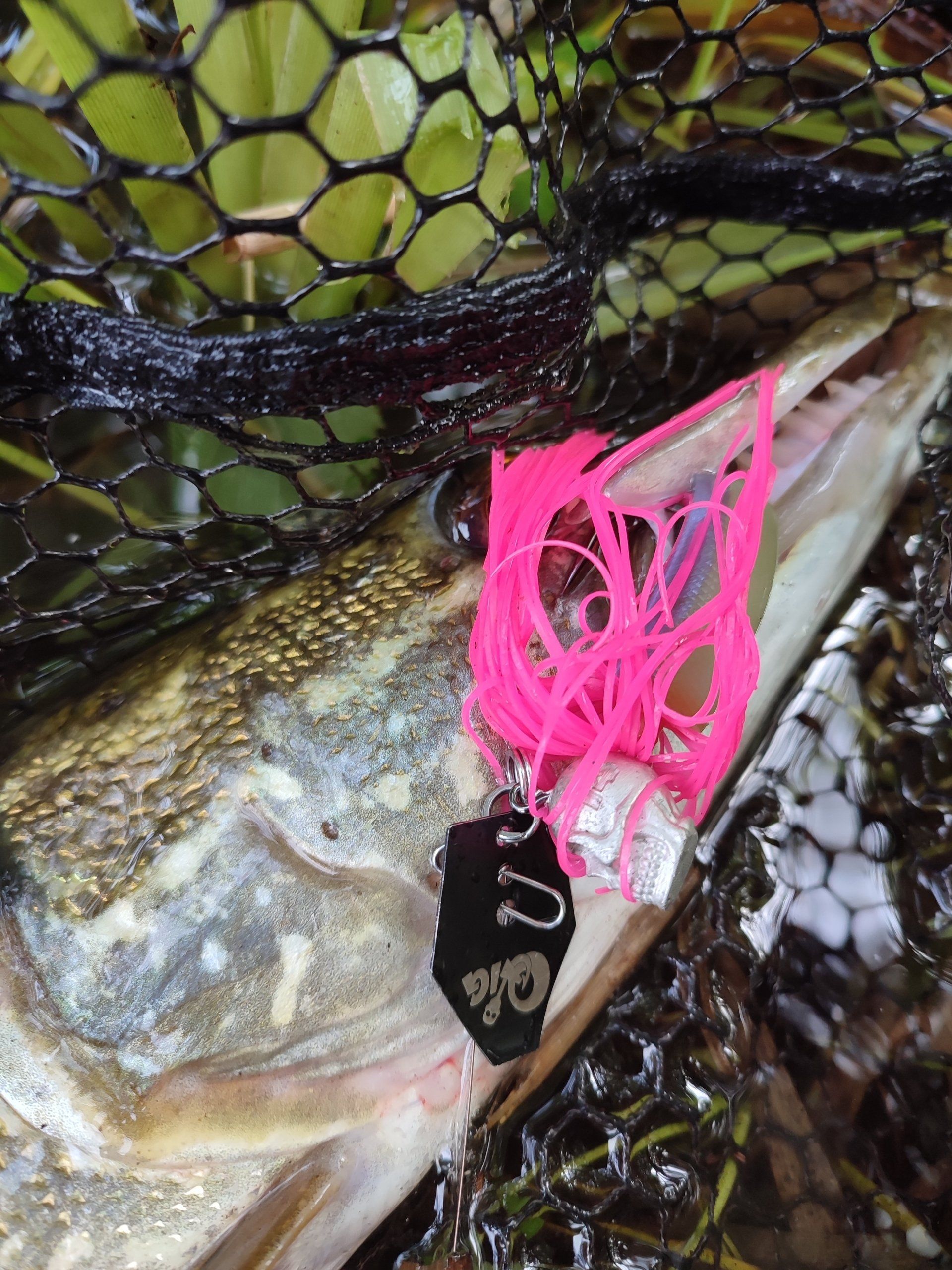 Q-Jig Chatterbait fängt Hecht