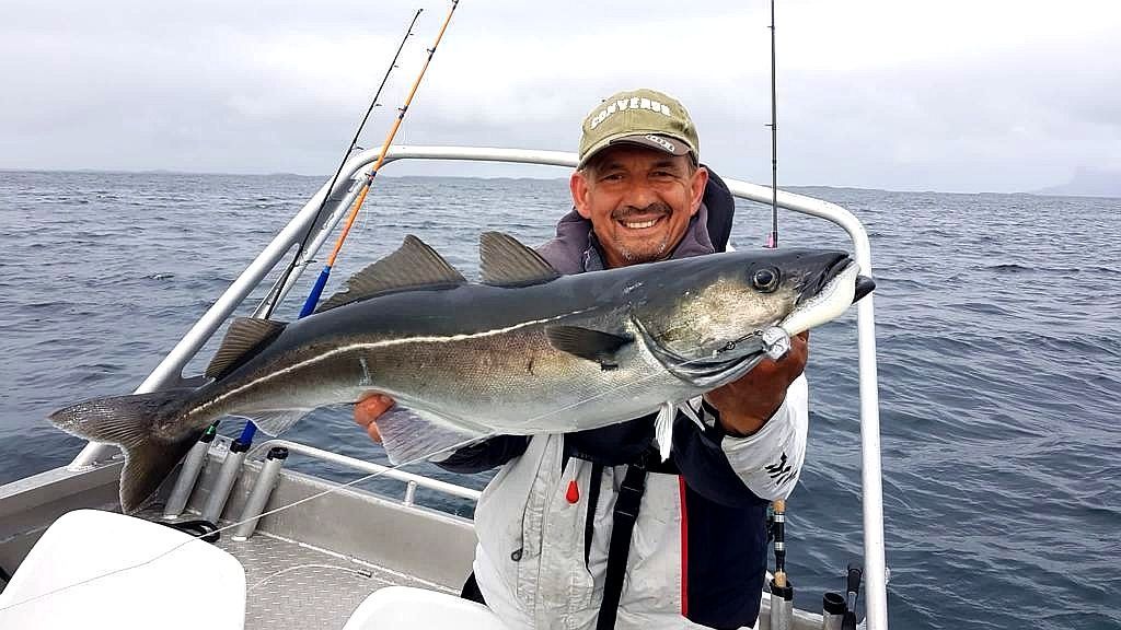 Dem Köhler schmeckt der bleifreie Jigkopf