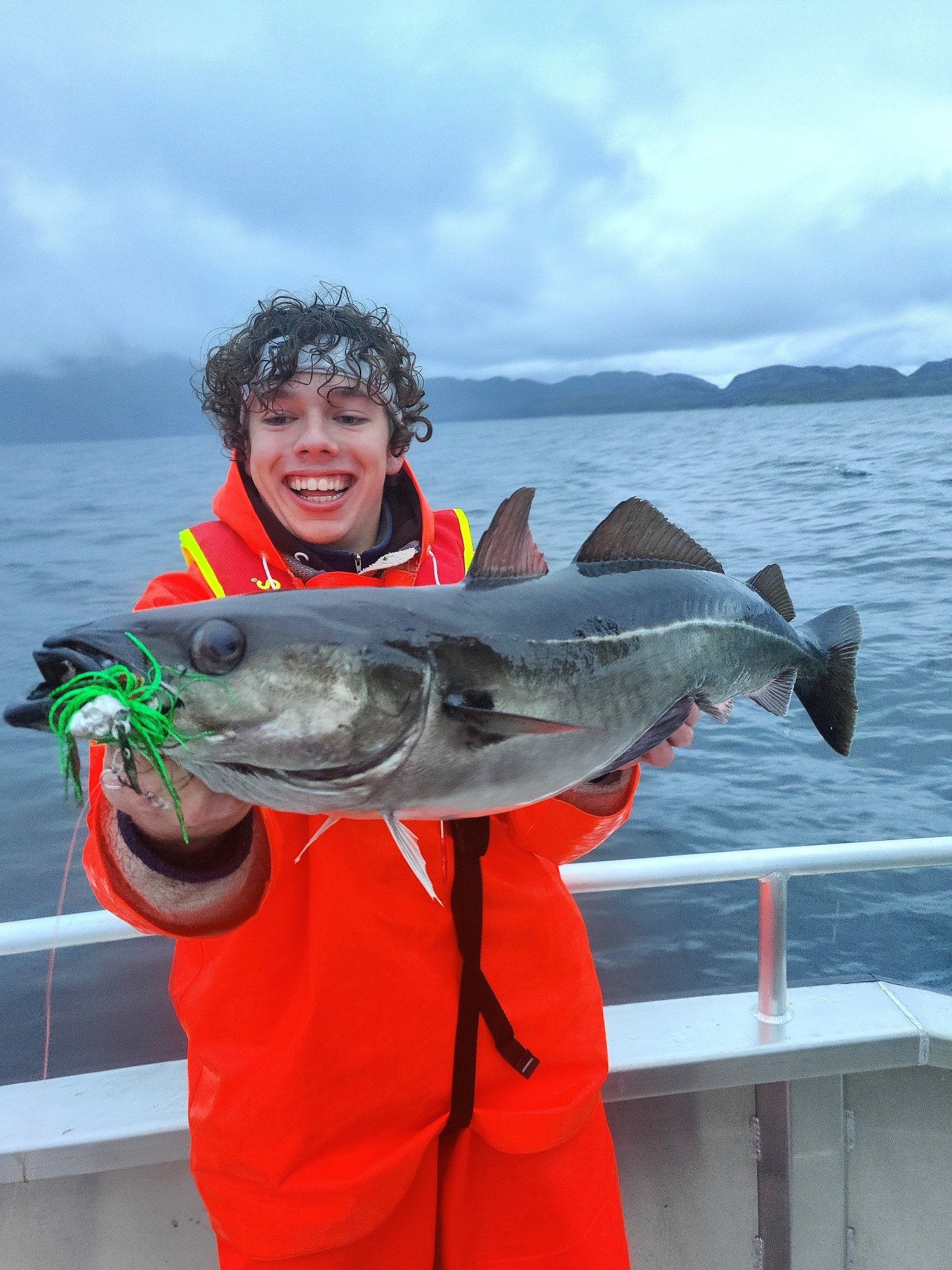 Q-Jig Chatterbait erfolgreich auf Seelachs