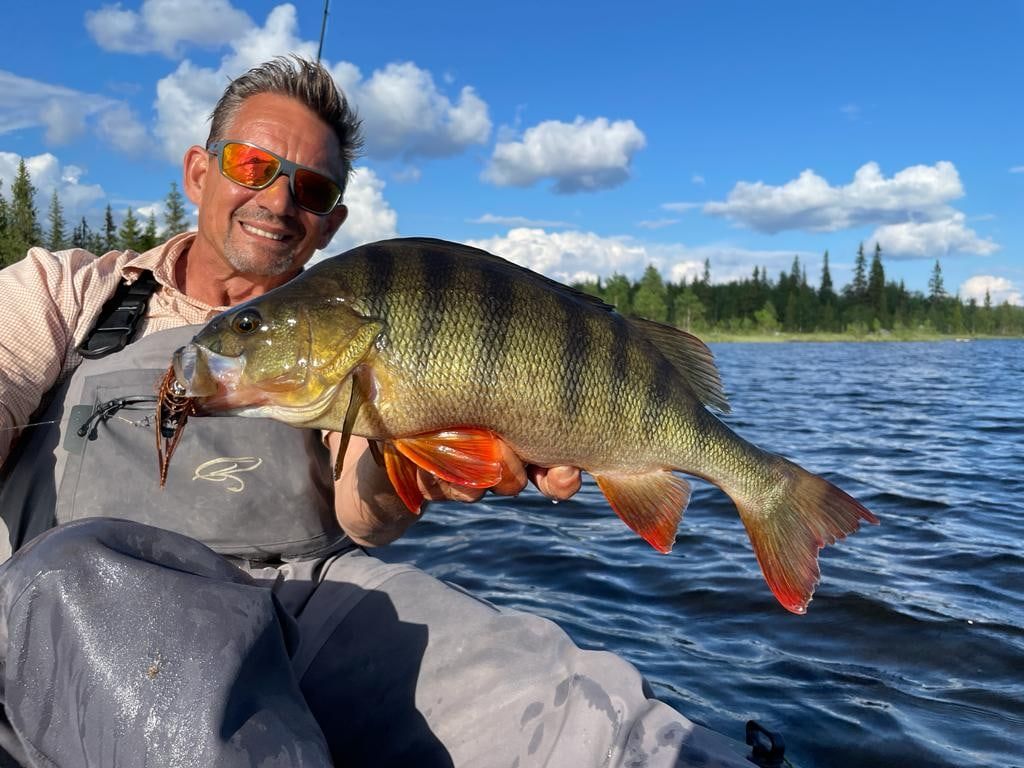 super Barsch auf bleifreiem Q-Jig Chatter