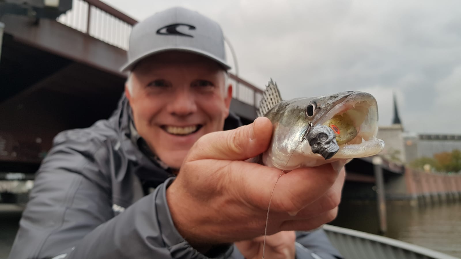 Zander mit Q-Jig in Hamburg gefangen