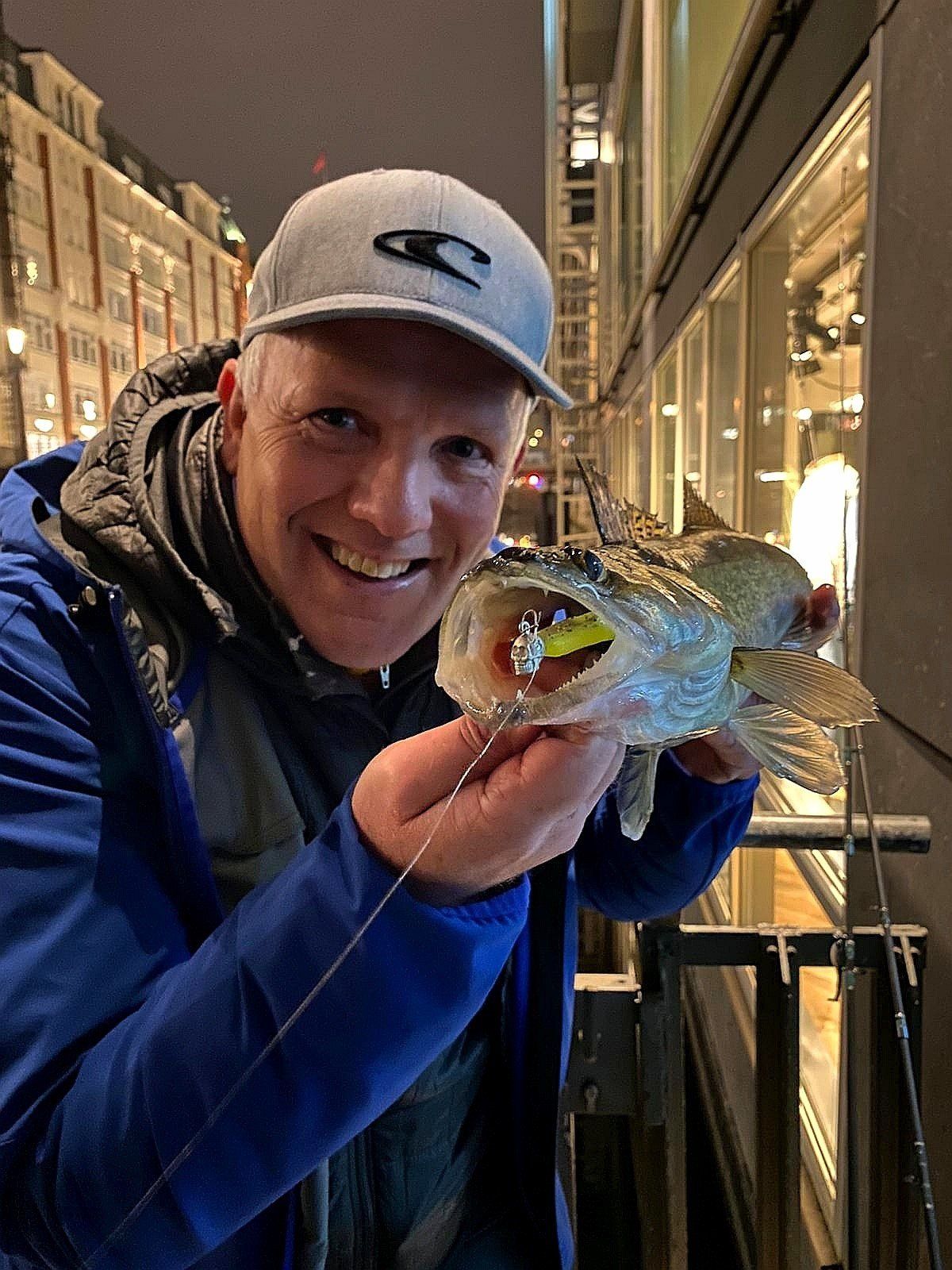 Zander aus der Hamburger Innenstadt