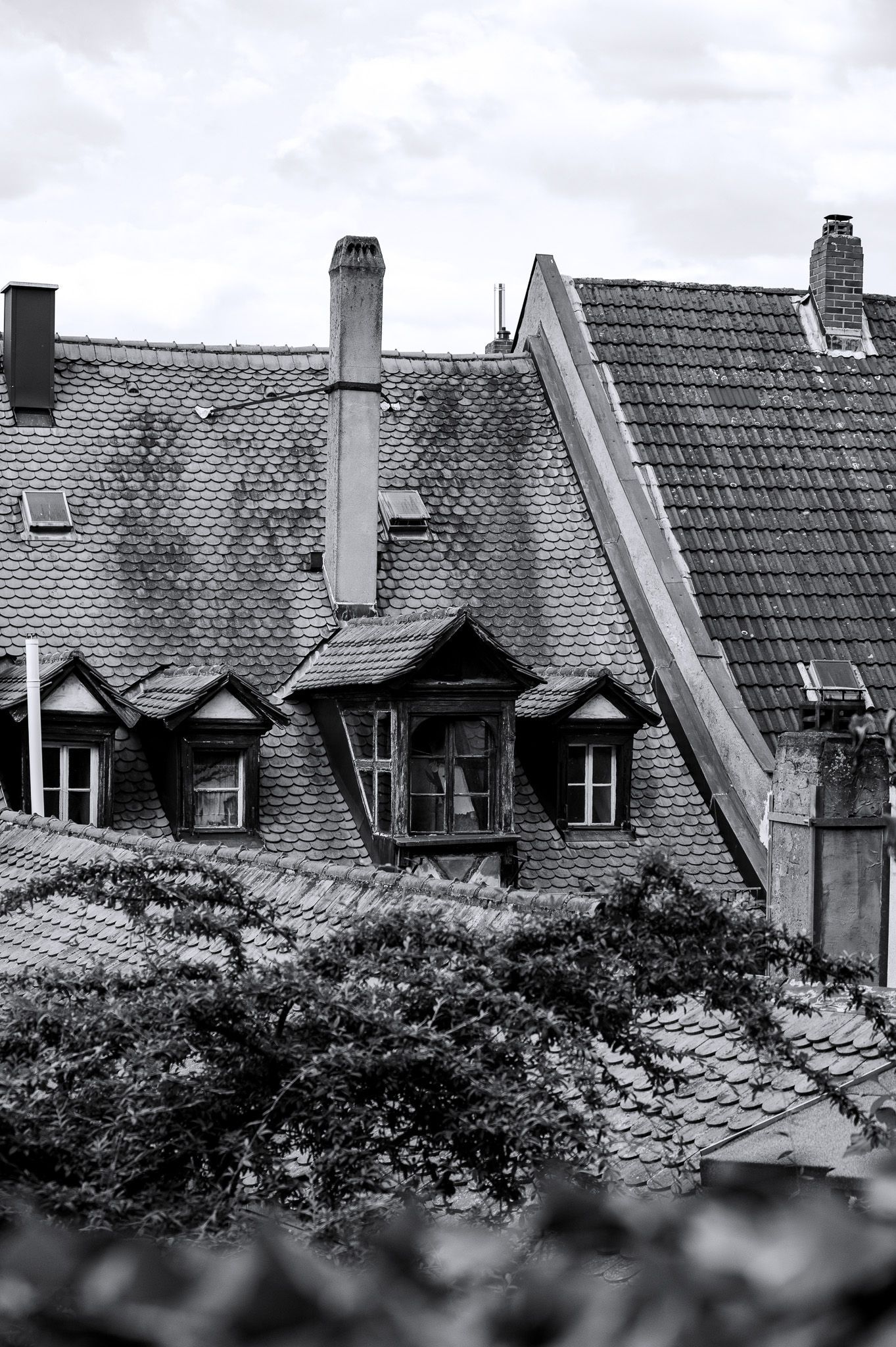 Alte Dachgauben und schiefergedeckte Dächer in der Altstadt von Bamberg – nostalgische Schwarz-Weiß-Ansicht von oben.