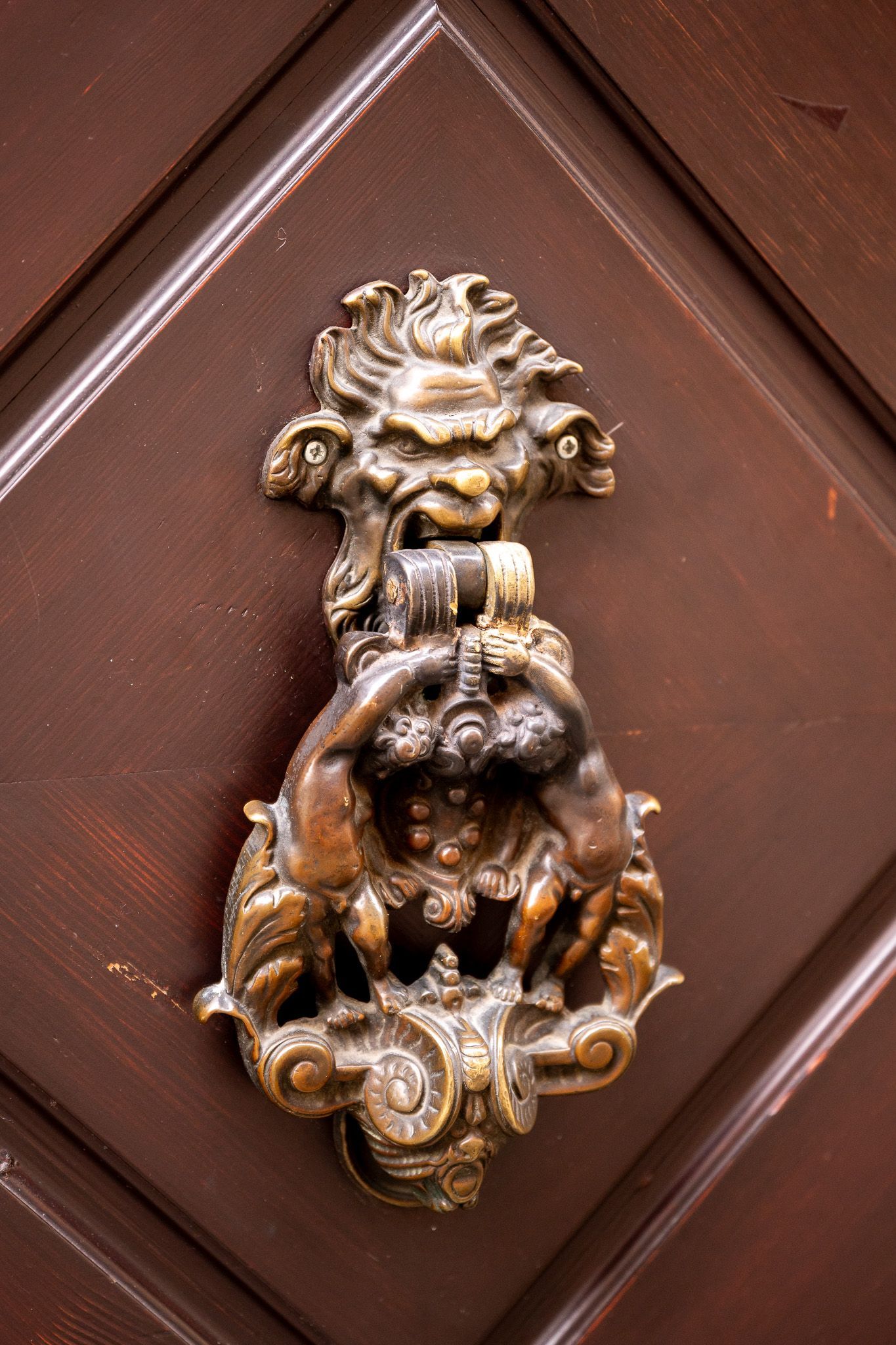 Detailaufnahme eines kunstvoll verzierten Türklopfers mit Löwenkopf in der Altstadt von Bamberg – Motiv beim Fotowalk Bamberg