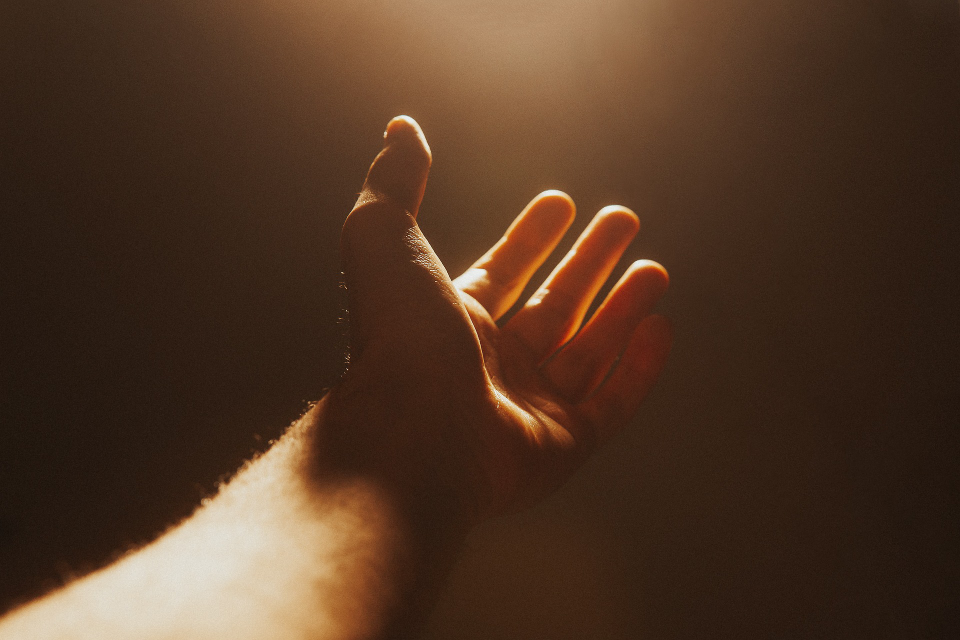 Foto die Hand reichen